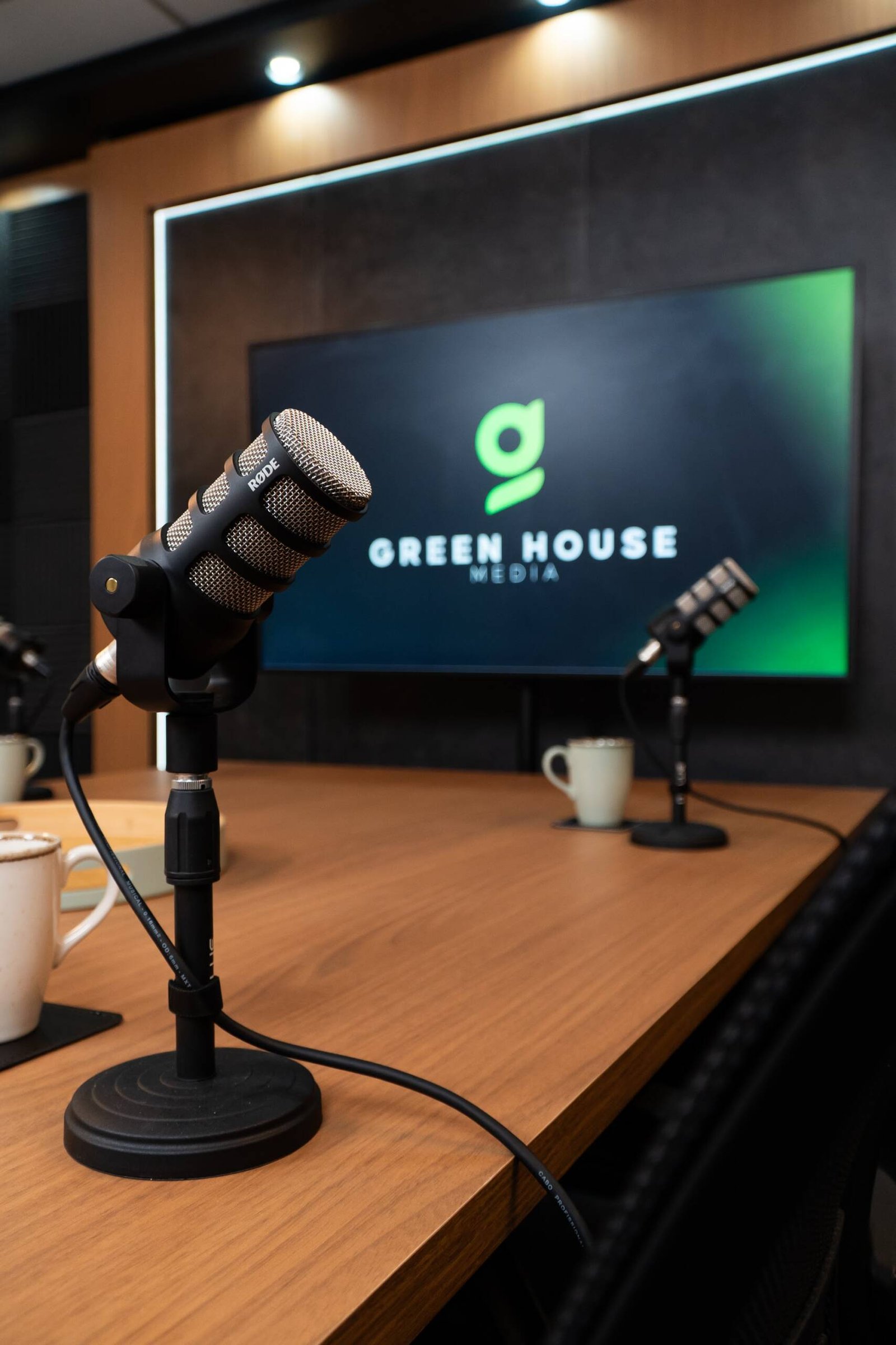 Microfone RØDE PodMic em primeiro plano